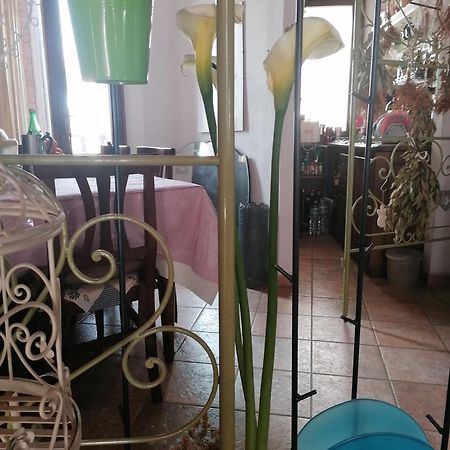 B&B Casacori Орозеи Экстерьер фото